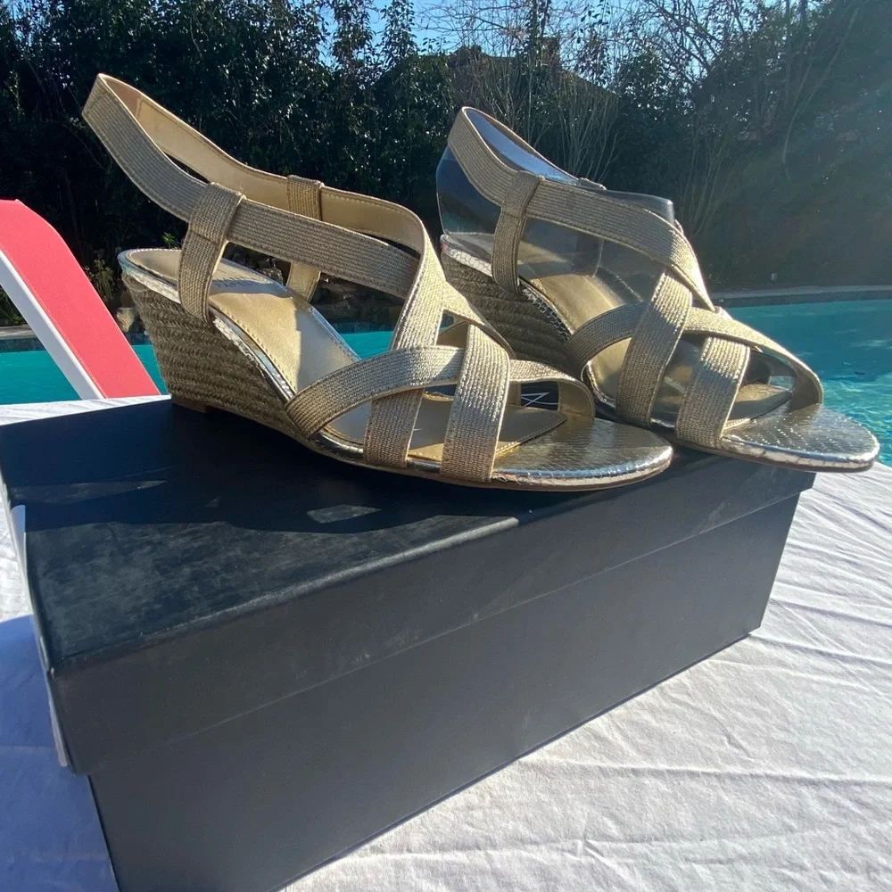 NWT Adrianna Papell Alba Platino Metallic gold and tan wedges / 9.5 / Inc. box - Picture 8 of 16